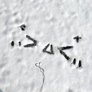 黄鳝琪琪自慰无码
